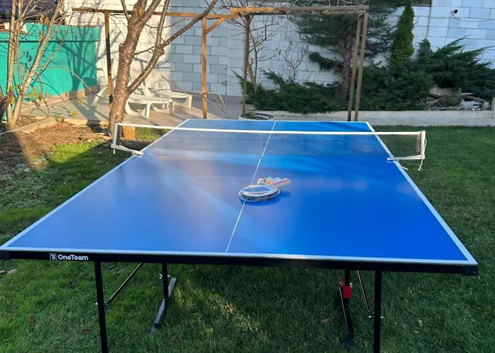 Daire морска роза